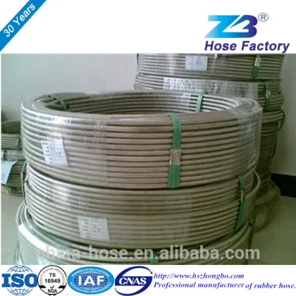 Teflon Hose/PTFE Hose/steel wire hose