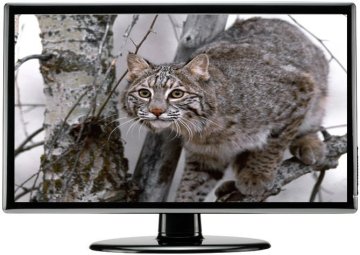 LCD Monitor 23.6