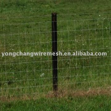 field wire mesh