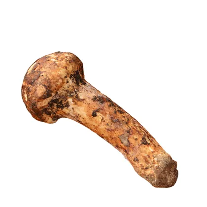 Fresh Frozen Matsutake Mushrooms By Air Transport