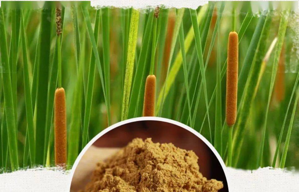 pu huang extract
