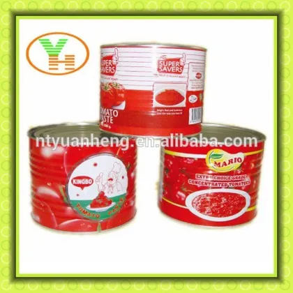 tomato paste processing plant, gino tomato paste, aseptic tomato paste, bulk tomato paste