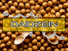 Daidzein Powder 98% Soybean Extract CAS486-66-8