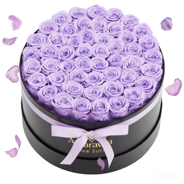 Coffret rond de 50 roses violettes préservées