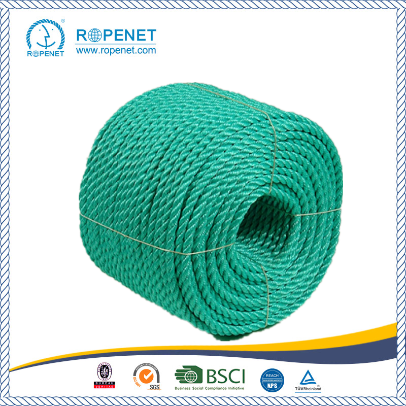 High Stregth Twisted PE Rope for sale