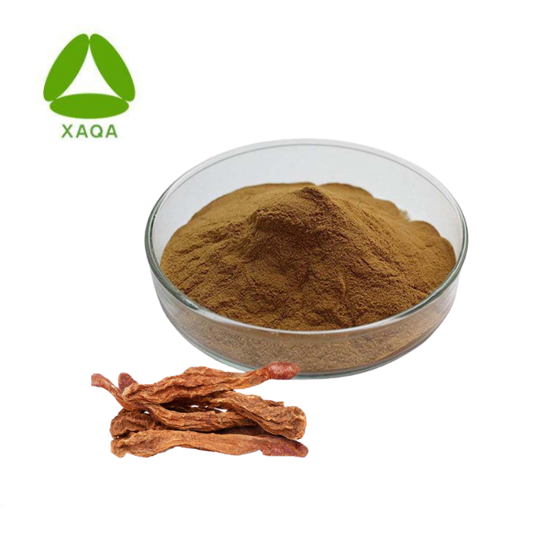 Herbal Extracts Cynomorii Songaria Cynomorium Extract Powder