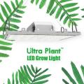 Painéis de luz led grow de 365 nm de alta qualidade