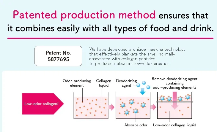 Collagen Introduce 4