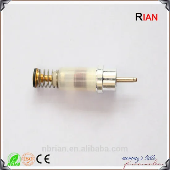 High quality gas magnet valves/refrigeration magnetic check valveRBDQ9.0A