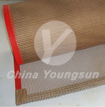 Non-stick PTFE mesh belt for drying plant