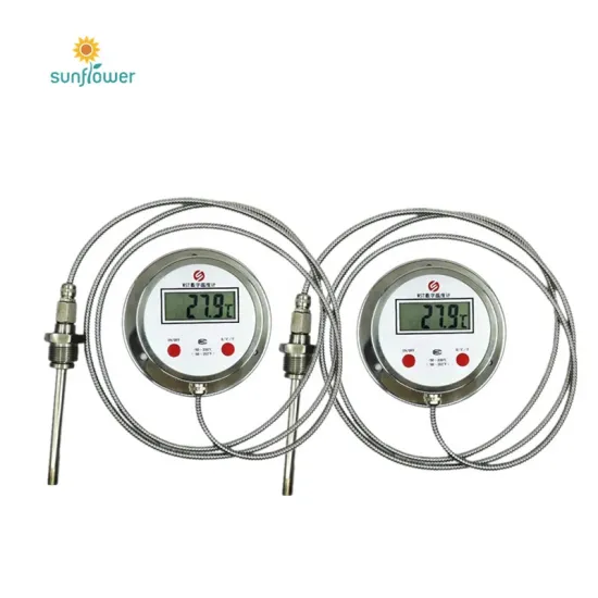 Digital Capillary Thermometer with LED Display - WST-DTM491