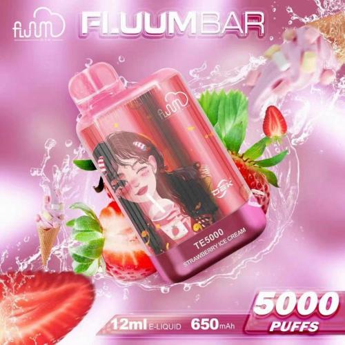 Fluum Bar TE5000 포도 5% 충전식