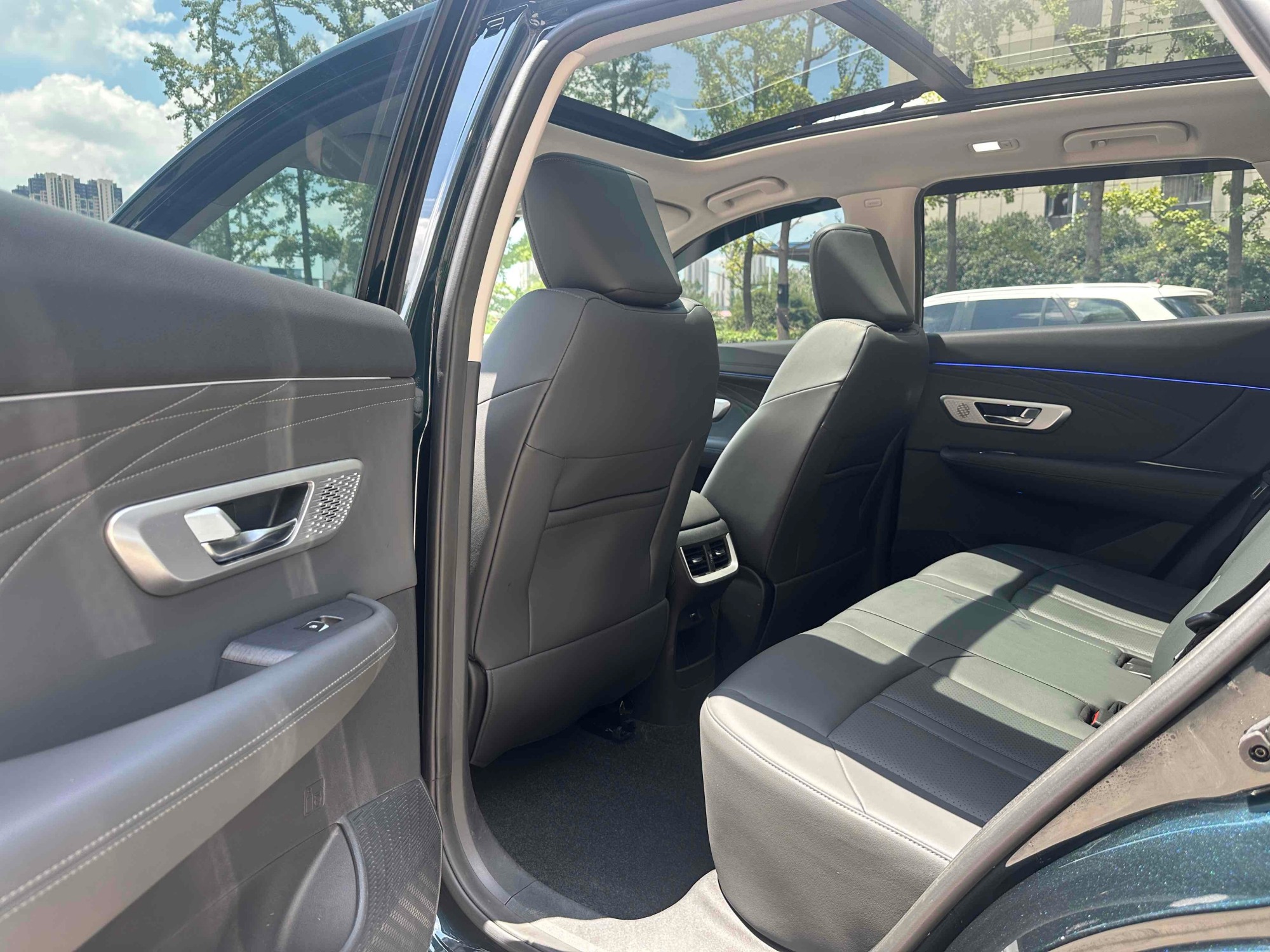 Daring Dream Edition