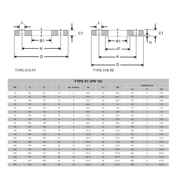 NFE29203 French Standard Flanges