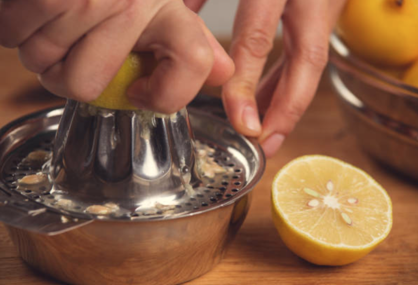 fruit squeezer fruit squeezer