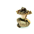 Organic Amorphophallus Extract for Digestive Health and Vitality