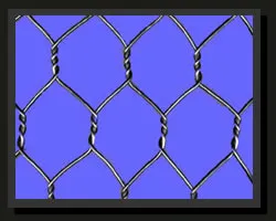 Hexagonal wire netting