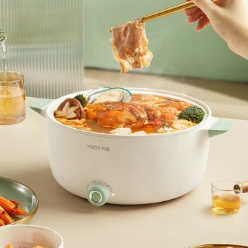 New Arrivals: Custom Multi-Function Non-Stick Mini Electric Cooker with Pot