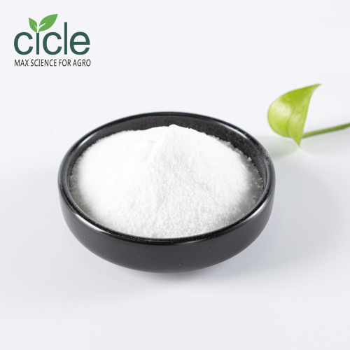 Pure Natural Succinic Acid