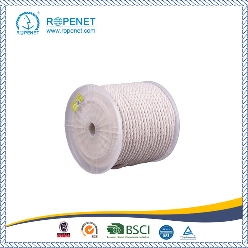 Hot Sale Cotton Rope with Low Price