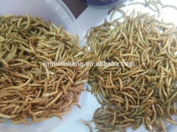 OEM service Excellent Quality Dried animal feed