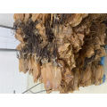 /msite/products/detail/productid/63195398/id/1343744.html