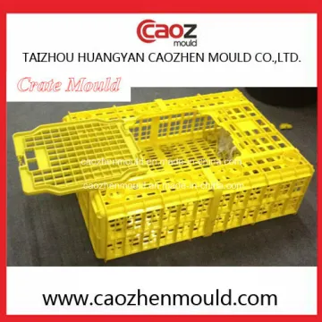 Hot Selling Plastic Poultry Crate Mold in China