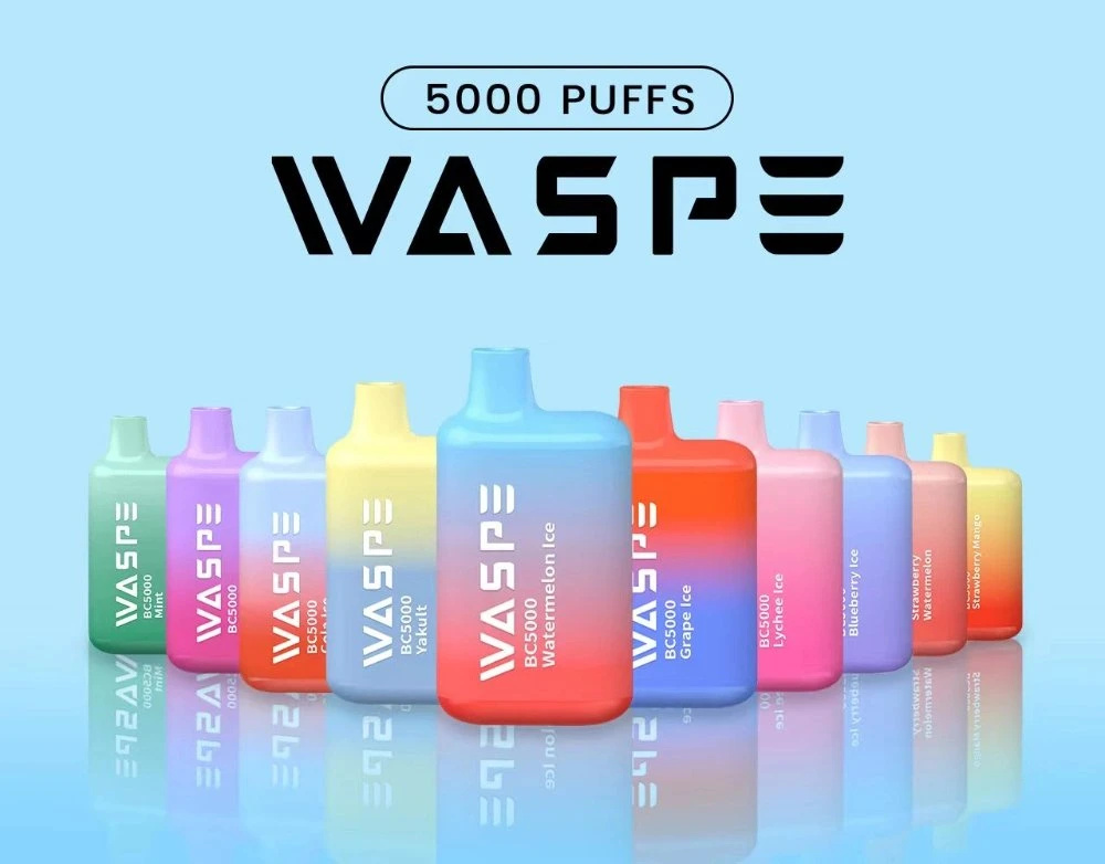 Bán buôn Waspe 5000 Puffs Vape Thụy Điển