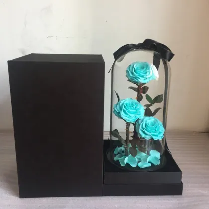 Little Prince Rose in Glass Dome with Black Gift Boxes for Valentine's Day