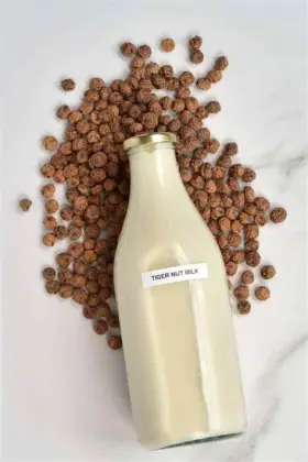 Industrial Almond Nut Coconut Milk Grinding Machine | Tiger Nuts Milk Making Equipment