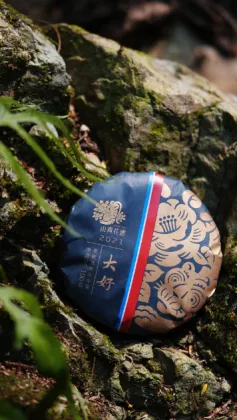 2021 Da Hao Raw Pu'er Tea 100g