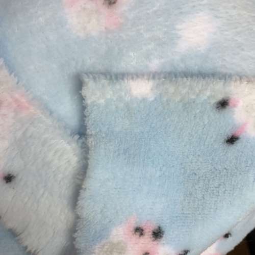 Double Side Coral Fleece with Animal Printing Fabric