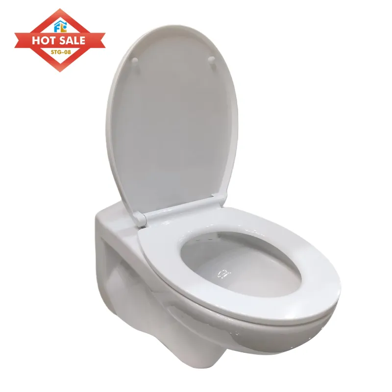 Wall Hung Toilet Bowl