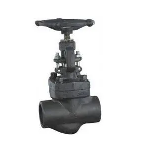 Forged Steel Bolted Globe Valve