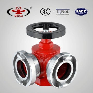 65 mm Single Valve Double Outlet Ductile Indoor Hydrant SNS65/65
