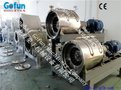 strawberry sauce pulping plant made in China