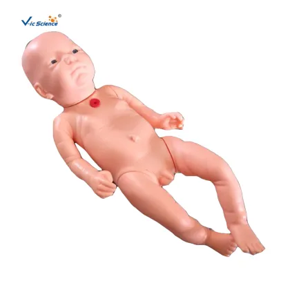 Tracheostomy Care Infant Model