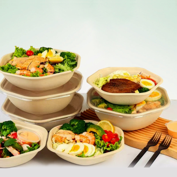 Biodegradable Plant Fiber Bagasse Lunch Box Salad Bowl