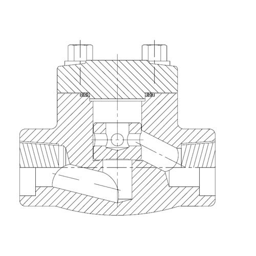 Forged Steel Check Valve