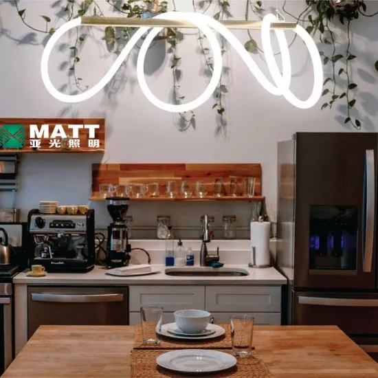 MATT Drop Shipping Factory Price RGBIC Neon Rope Light LED Neon Flex Rope Light 12V/24V/110V/220V