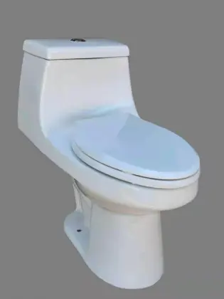 ADA ELONGATED ONE PIECE TOILET