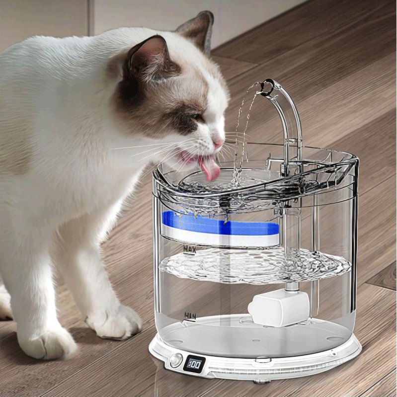 স্বয়ংক্রিয় সেন্সর সহ স্মার্ট পোষা জল সরবরাহকারী