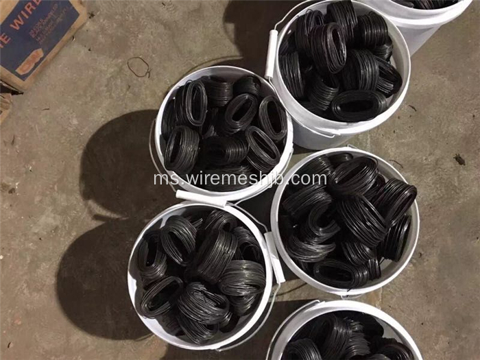 Pembungkusan Kecil Wire Electro Galvanized Soft Iron Wire