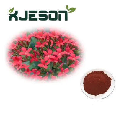 High Quality Rhodiola Rose Extract