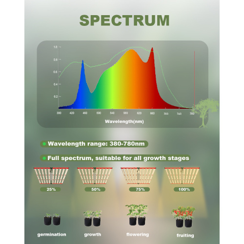 High Power Hydroponics System 1000W Led Grow Lights
