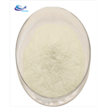 100% Water soluble Mango flavor powder/Mango juice powder