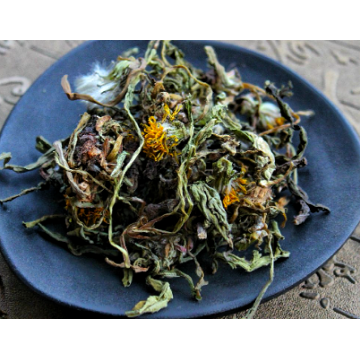 Herb Extract Herba Taraxaci Extract