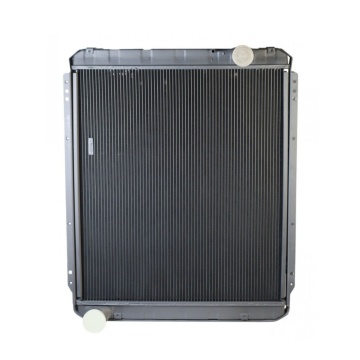 Truck Radiator for LIAZ 6212-1301010 - Bronze Tractor Radiator for Sale