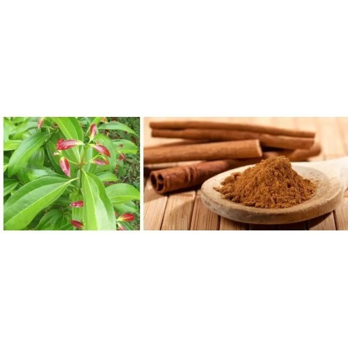 Organic Ceylon Cinnamon Extract Powder Cinnamon Polyphenols
