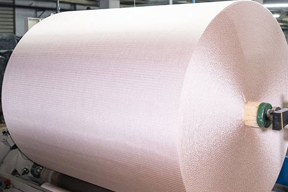 DIPPED NYLON6 CORD FABRIC